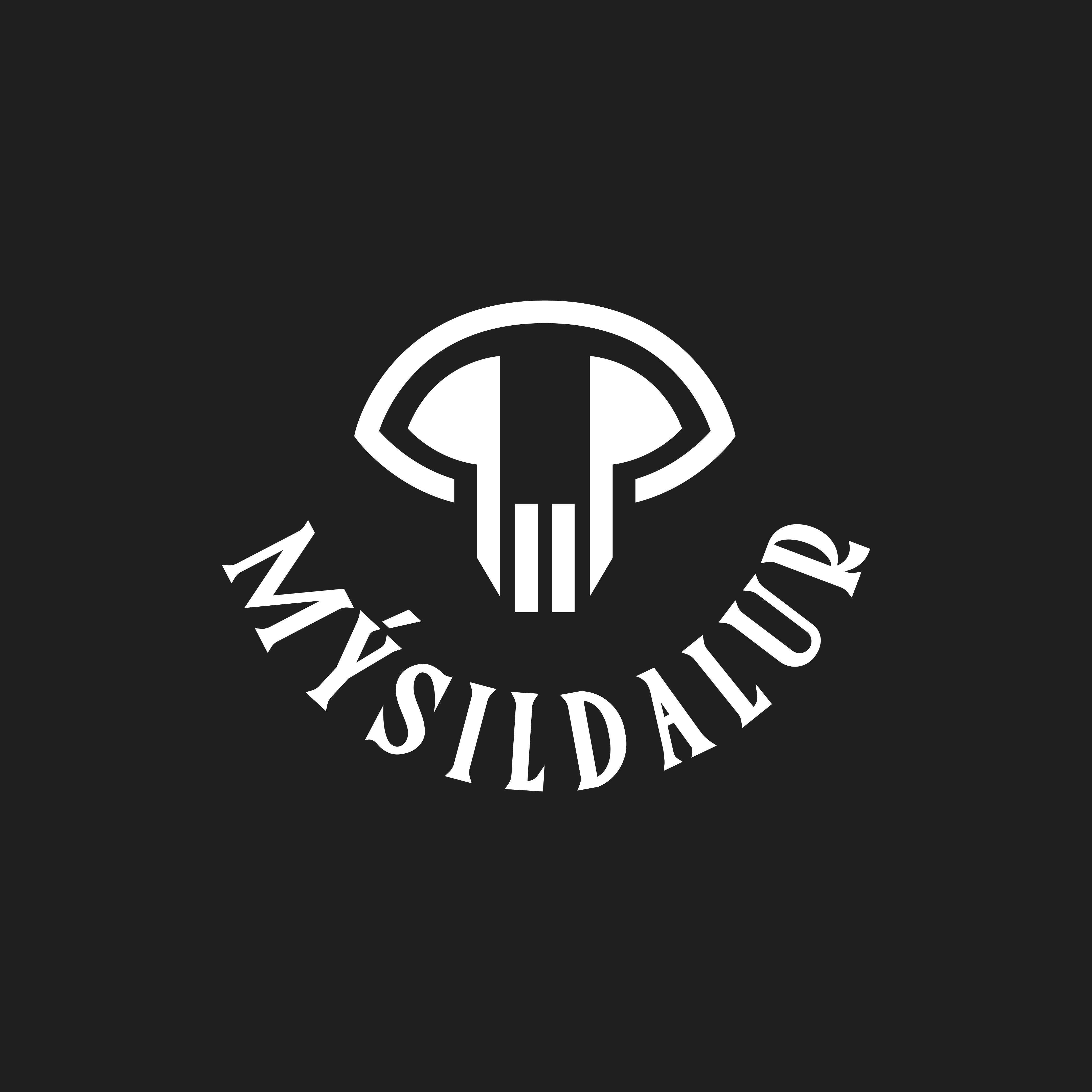 Rannsóknarvinna og skráning hjá Mýsildal