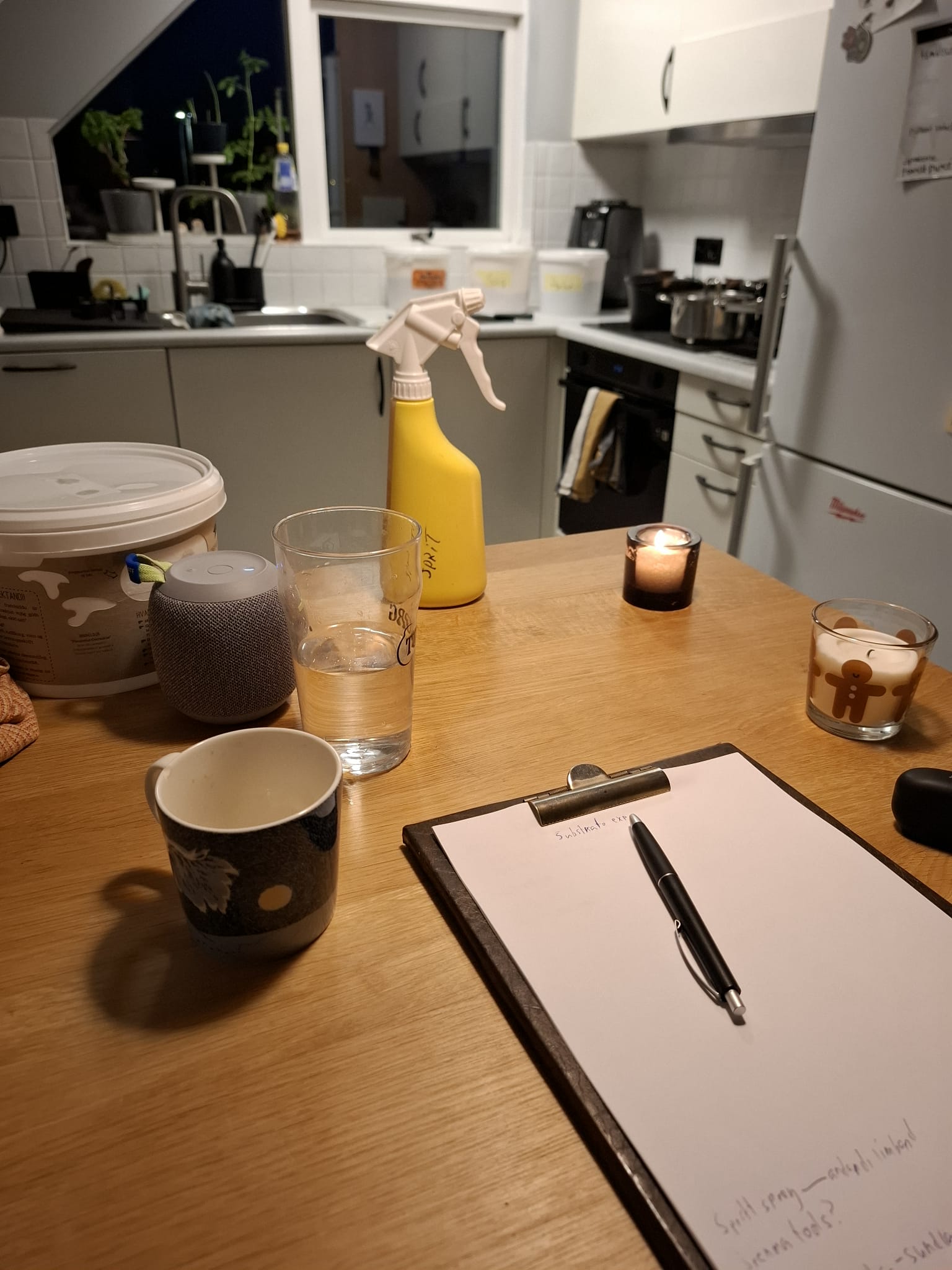Rannsóknarvinna og skráning hjá Mýsildal